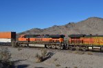 BNSF 1019